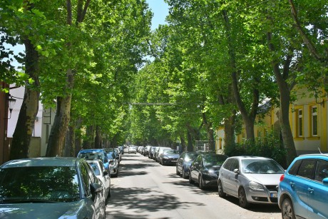 Tilos lesz kedden a parkolás a Gyümölcs utca 4-6. szám előtt